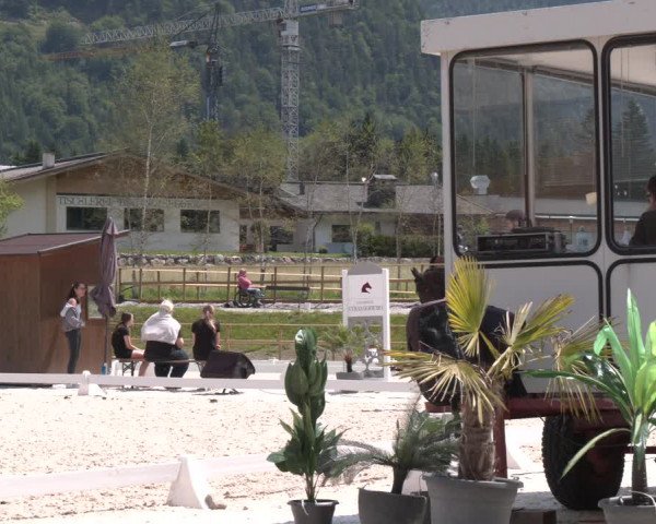 Reitturnier St. Ulrich am Pillersee 2023