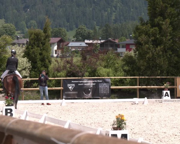 Reitturnier St. Ulrich am Pillersee 2023