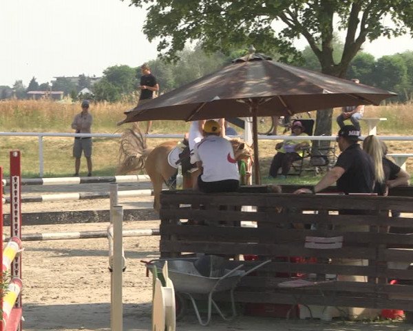 Reitturnier Biebesheim 2023