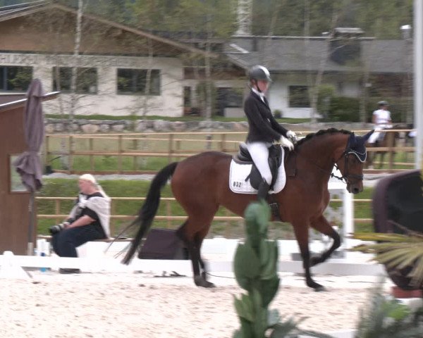 Reitturnier St. Ulrich am Pillersee 2023