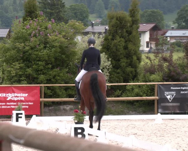 Reitturnier St. Ulrich am Pillersee 2023