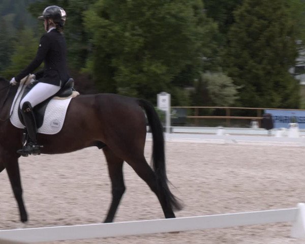 Reitturnier St. Ulrich am Pillersee 2023