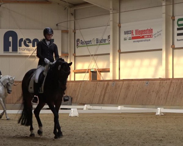 Reitturnier Ochtrup 2023