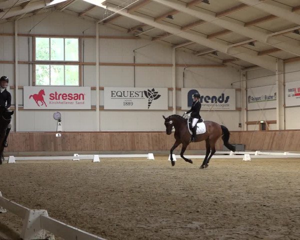 Reitturnier Ochtrup 2023