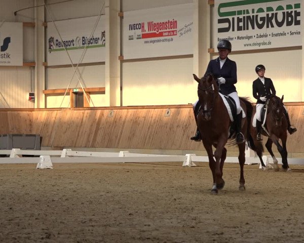 Reitturnier Ochtrup 2023