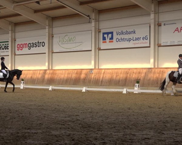Reitturnier Ochtrup 2023