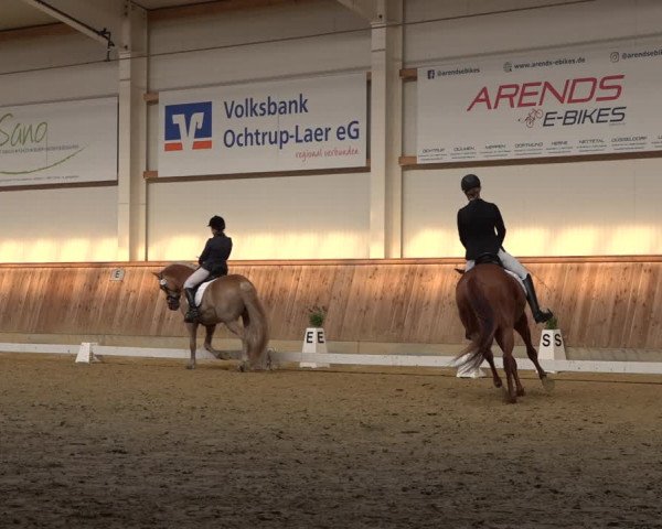 Reitturnier Ochtrup 2023