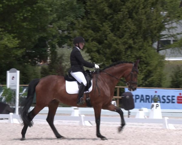 Reitturnier St. Ulrich am Pillersee 2023