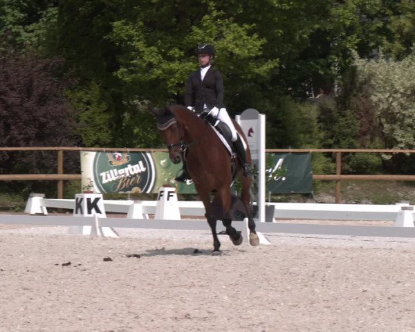 Reitturnier St. Ulrich am Pillersee 2023