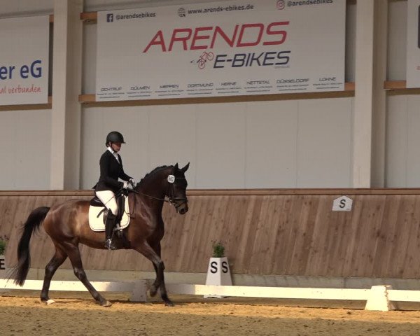 Reitturnier Ochtrup 2023