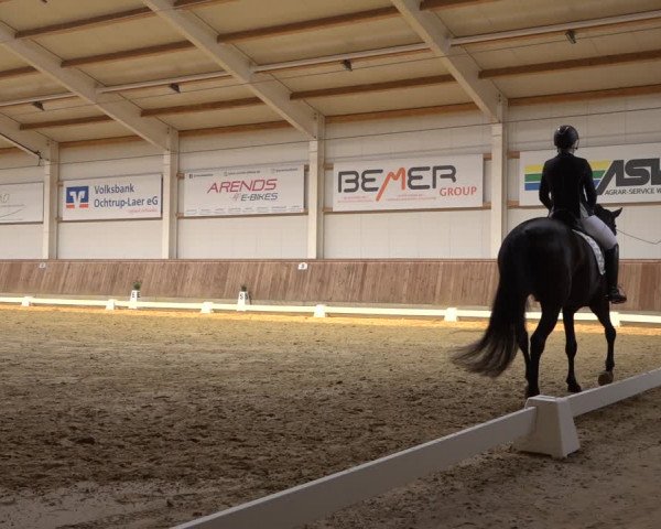 Reitturnier Ochtrup 2023