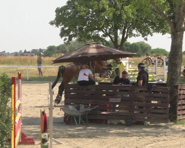 Reitturnier Biebesheim 2023
