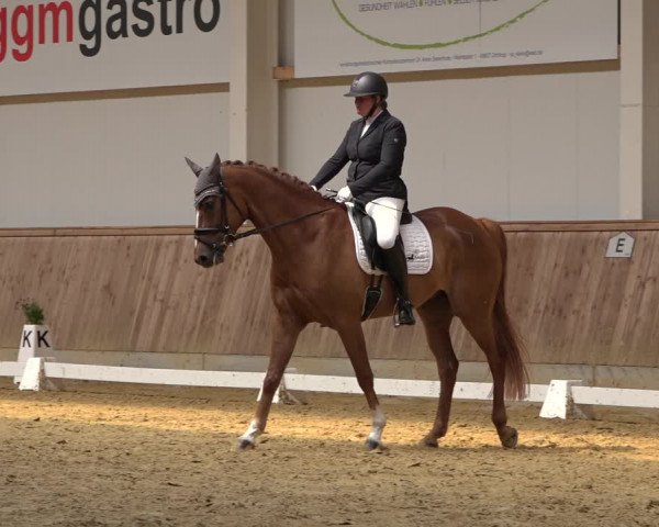 Reitturnier Ochtrup 2023