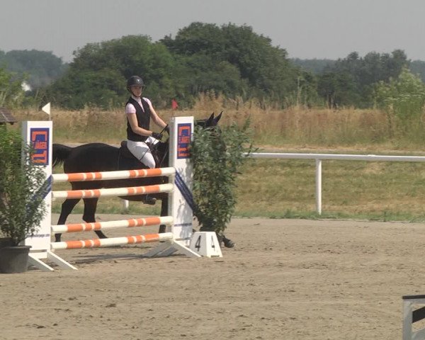 Reitturnier Biebesheim 2023