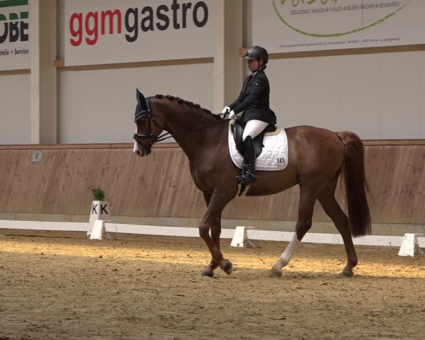 Reitturnier Ochtrup 2023