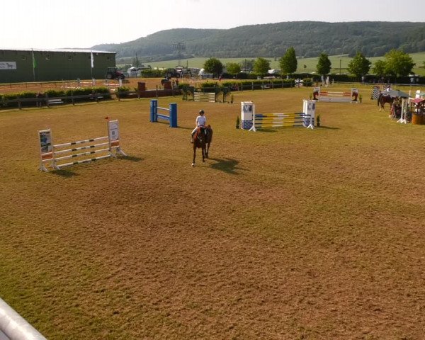 Reitturnier Wingerode 2023
