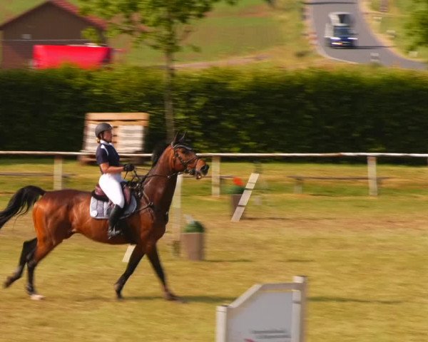Reitturnier Wingerode 2023