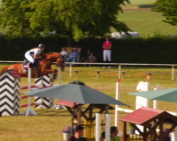 Reitturnier Wingerode 2023