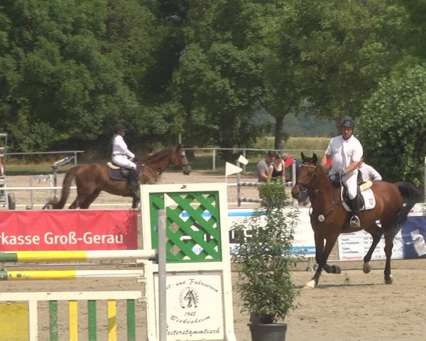 Reitturnier Biebesheim 2023