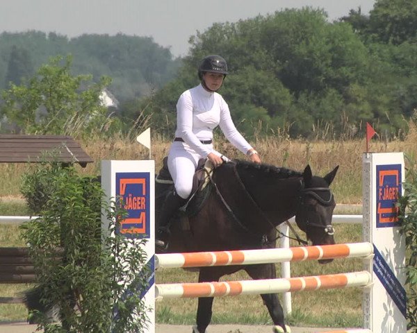 Reitturnier Biebesheim 2023