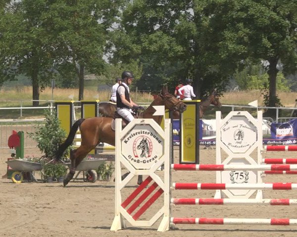 Reitturnier Biebesheim 2023