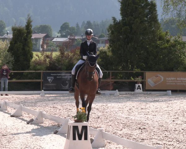Reitturnier St. Ulrich am Pillersee 2023