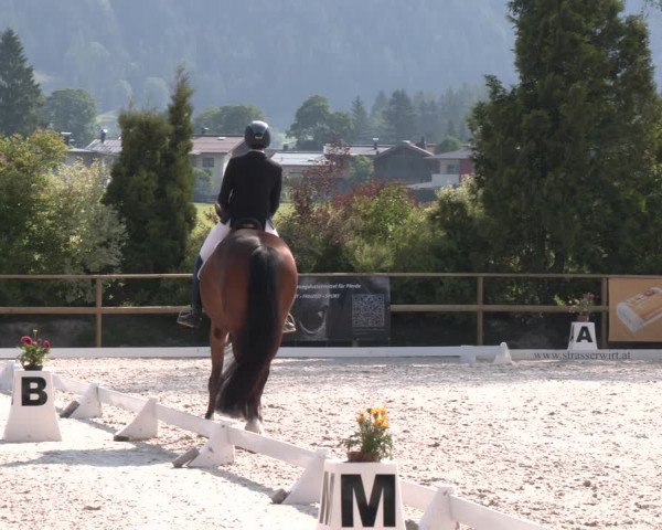 Reitturnier St. Ulrich am Pillersee 2023