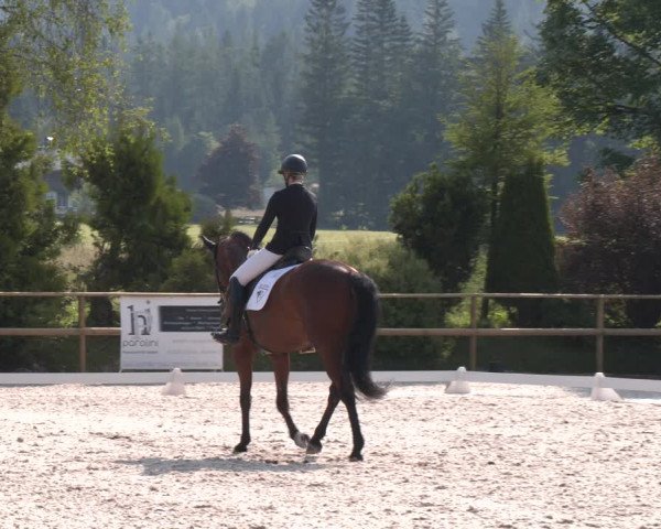 Reitturnier St. Ulrich am Pillersee 2023