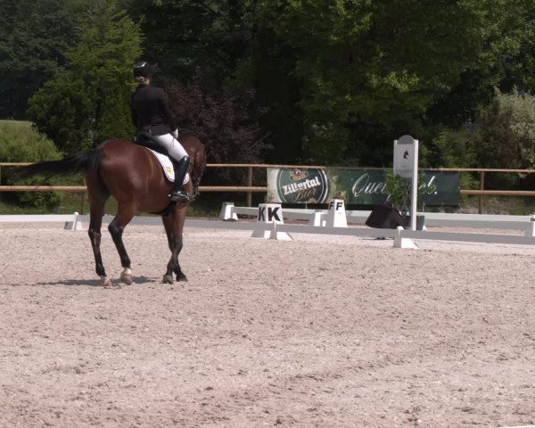 Reitturnier St. Ulrich am Pillersee 2023