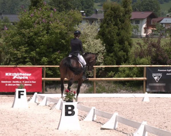 Reitturnier St. Ulrich am Pillersee 2023