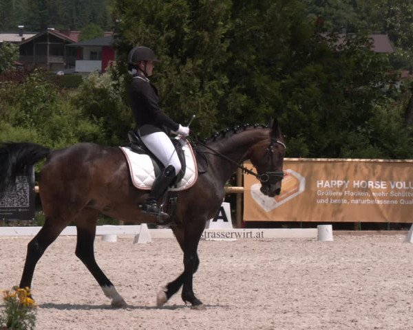 Reitturnier St. Ulrich am Pillersee 2023