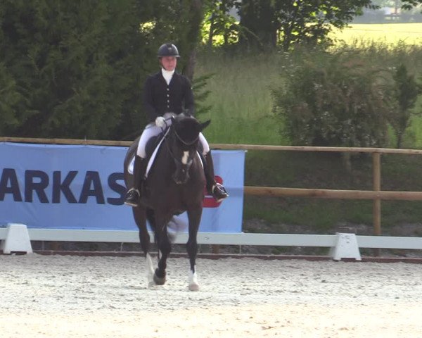 Reitturnier St. Ulrich am Pillersee 2023