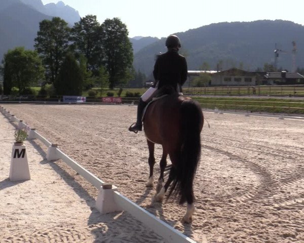 Reitturnier St. Ulrich am Pillersee 2023