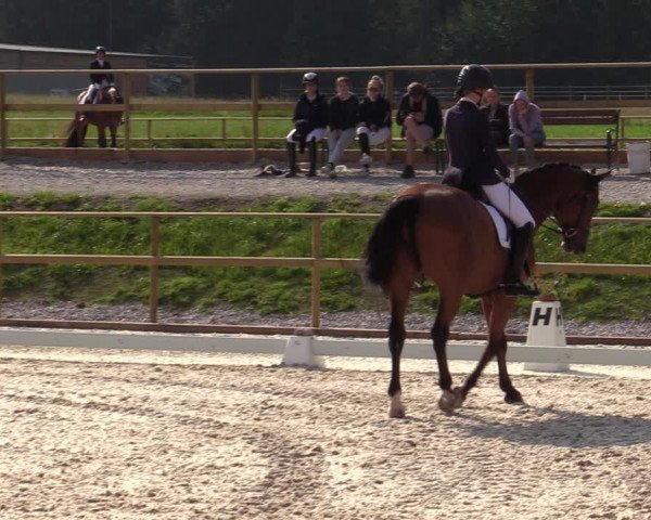 Reitturnier St. Ulrich am Pillersee 2023