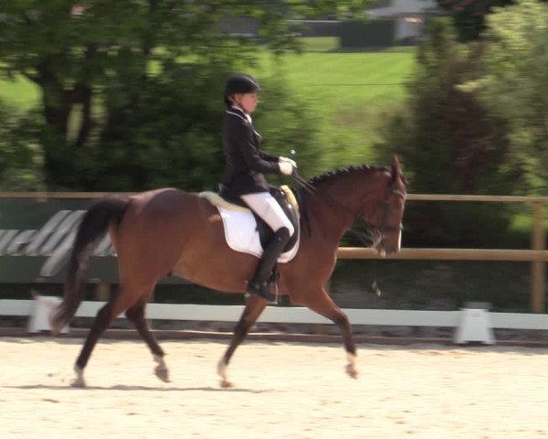 Reitturnier St. Ulrich am Pillersee 2023