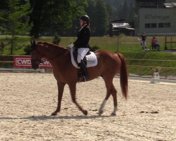 Reitturnier St. Ulrich am Pillersee 2023