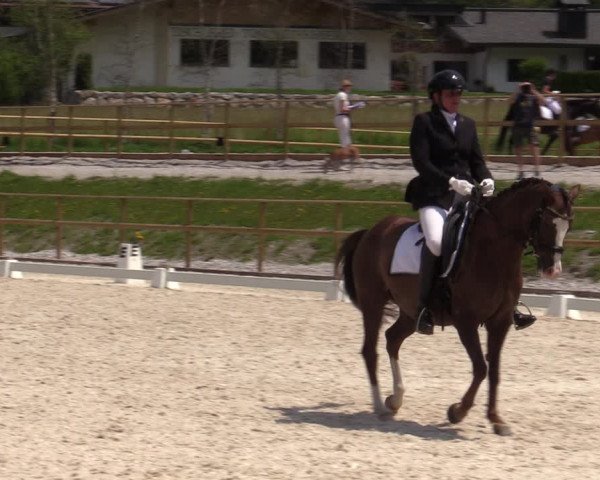 Reitturnier St. Ulrich am Pillersee 2023