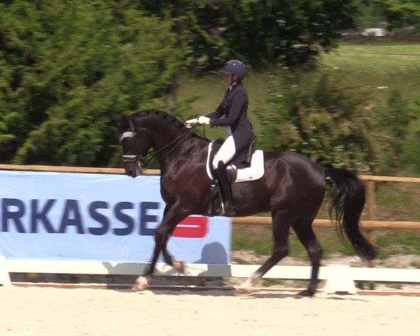 Reitturnier St. Ulrich am Pillersee 2023