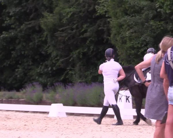 Reitturnier Lindlar - Reitanlage Dückers 2023