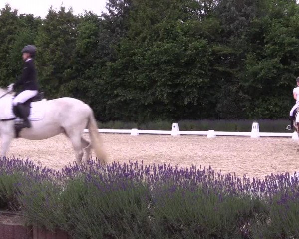 Reitturnier Lindlar - Reitanlage Dückers 2023
