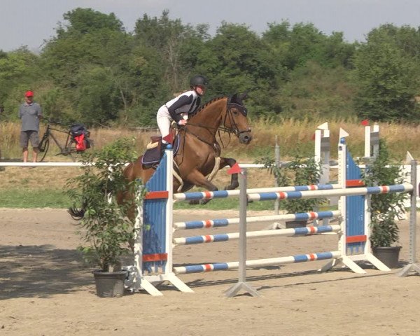 Reitturnier Biebesheim 2023