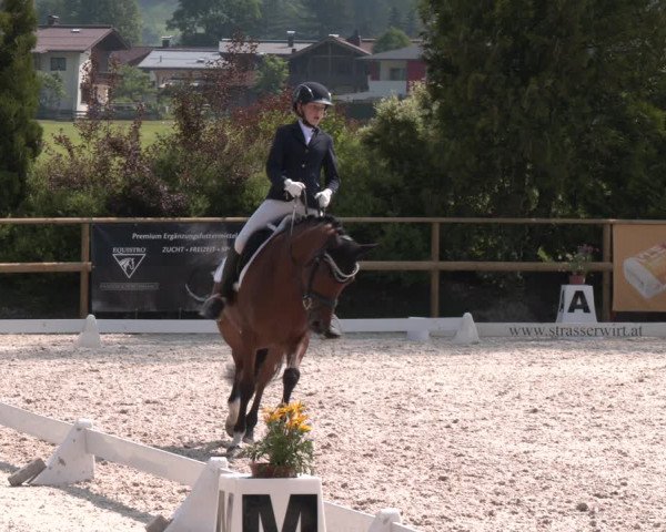 Reitturnier St. Ulrich am Pillersee 2023