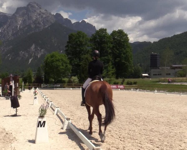 Reitturnier St. Ulrich am Pillersee 2023