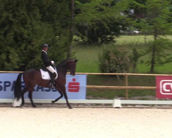 Reitturnier St. Ulrich am Pillersee 2023