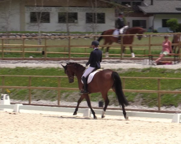 Reitturnier St. Ulrich am Pillersee 2023