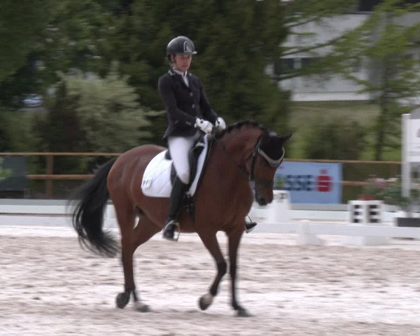 Reitturnier St. Ulrich am Pillersee 2023