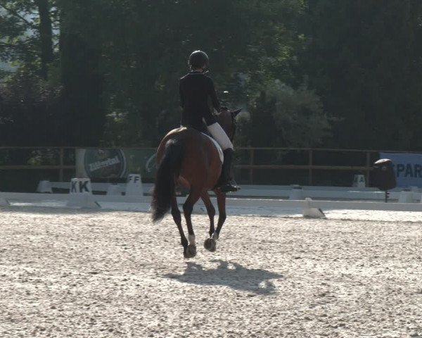 Reitturnier St. Ulrich am Pillersee 2023