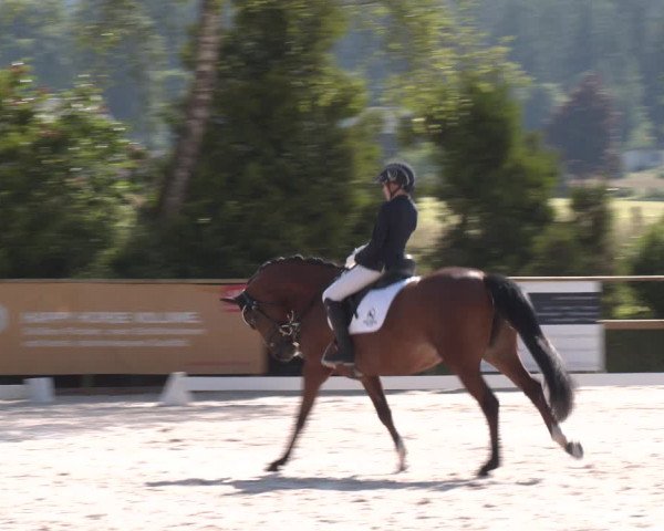 Reitturnier St. Ulrich am Pillersee 2023