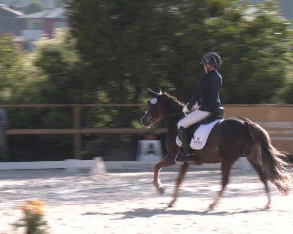 Reitturnier St. Ulrich am Pillersee 2023