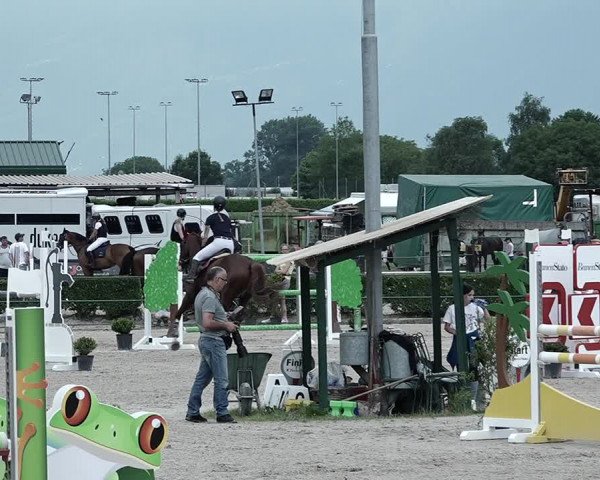 Reitturnier Giubiasco 2023